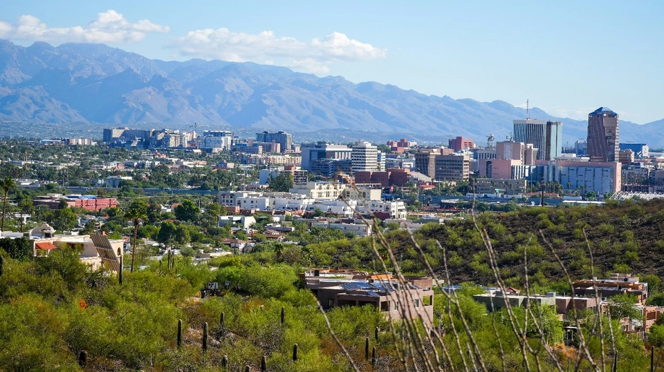 Avondale Property Management