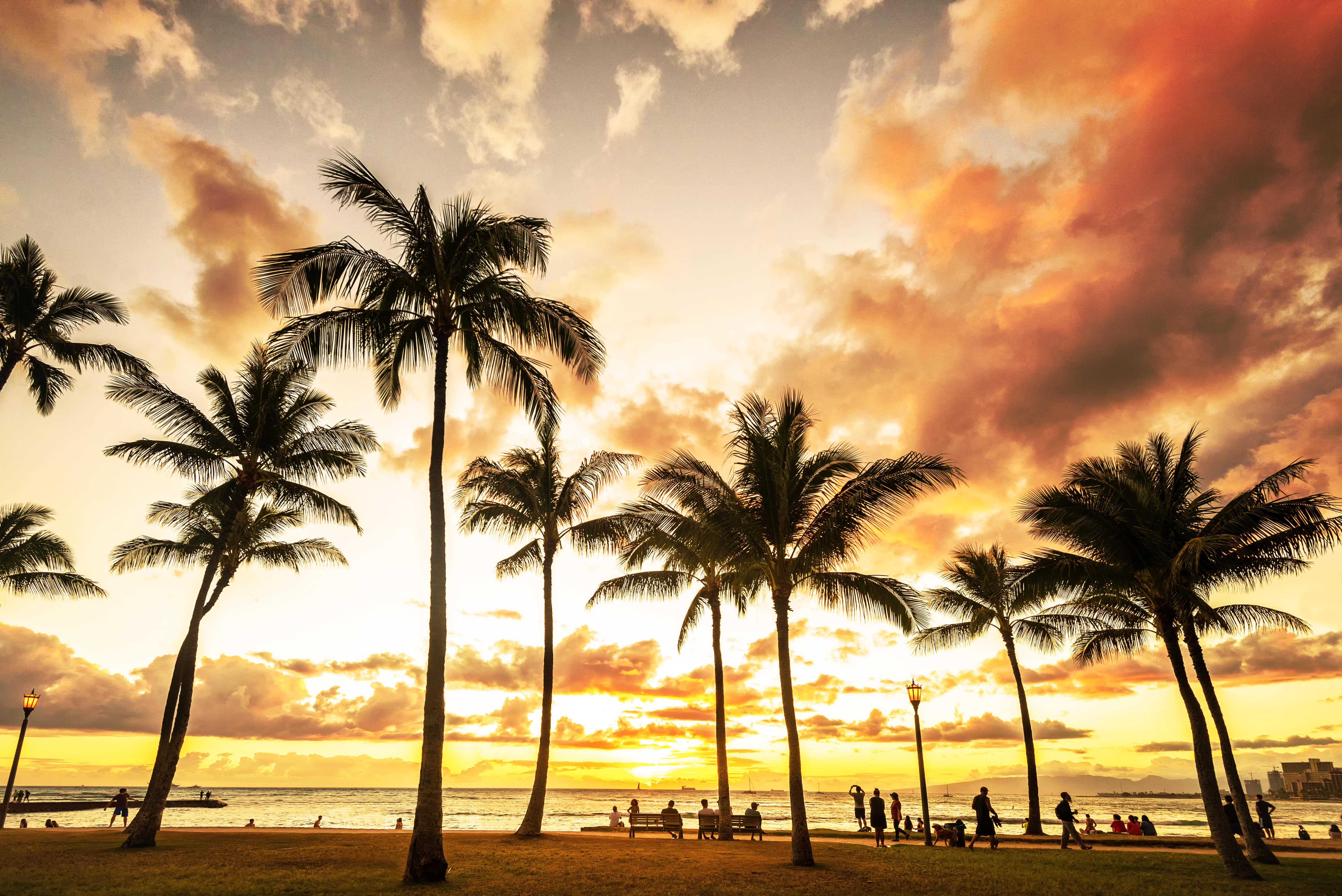 Kailua Property Management