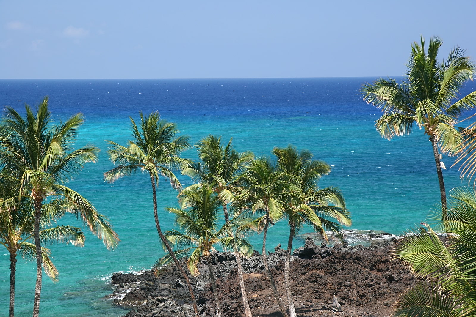 Kona Property Management